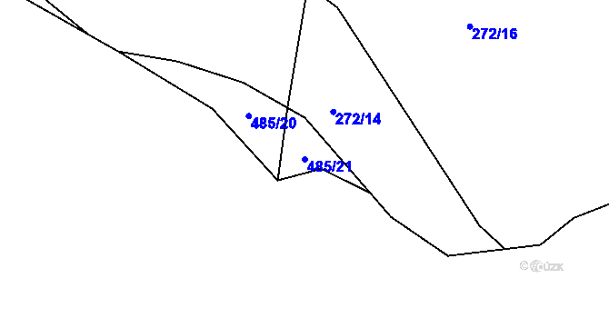 Parcela st. 485/21 v KÚ Trhové Dušníky, Katastrální mapa