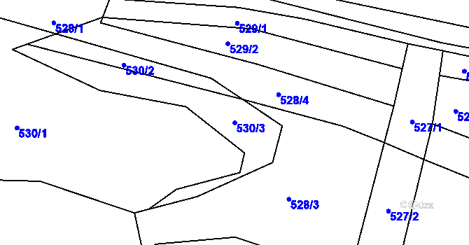 Parcela st. 530/3 v KÚ Trhové Dušníky, Katastrální mapa