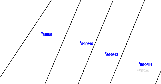 Parcela st. 590/10 v KÚ Trhové Dušníky, Katastrální mapa