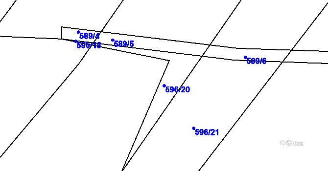Parcela st. 596/20 v KÚ Trhové Dušníky, Katastrální mapa