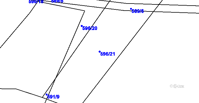 Parcela st. 596/21 v KÚ Trhové Dušníky, Katastrální mapa