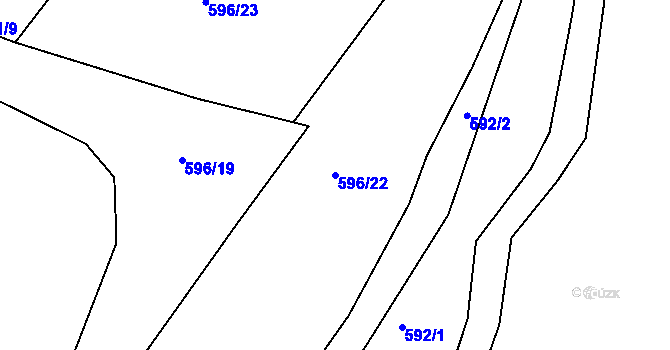 Parcela st. 596/22 v KÚ Trhové Dušníky, Katastrální mapa