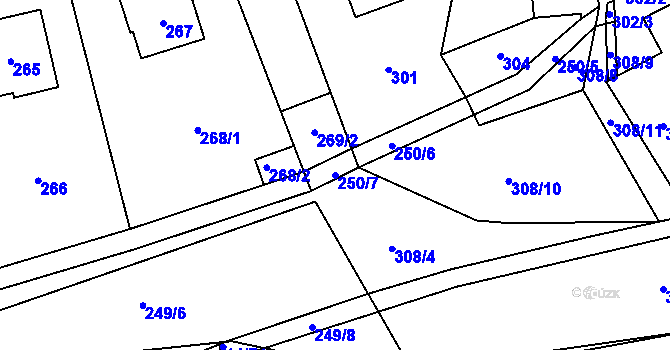 Parcela st. 250/7 v KÚ Trhové Dušníky, Katastrální mapa