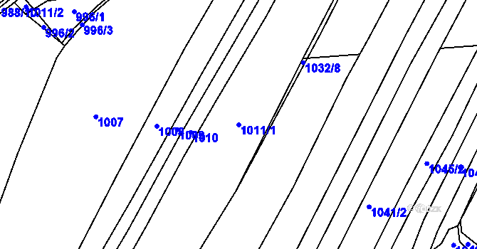 Parcela st. 1011/1 v KÚ Trhové Sviny, Katastrální mapa
