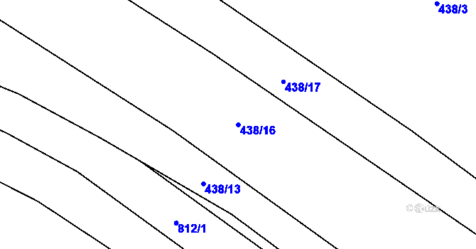 Parcela st. 438/16 v KÚ Trhové Sviny, Katastrální mapa