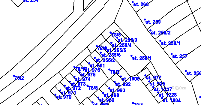 Parcela st. 255/6 v KÚ Trhové Sviny, Katastrální mapa