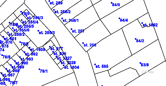 Parcela st. 256 v KÚ Trhové Sviny, Katastrální mapa