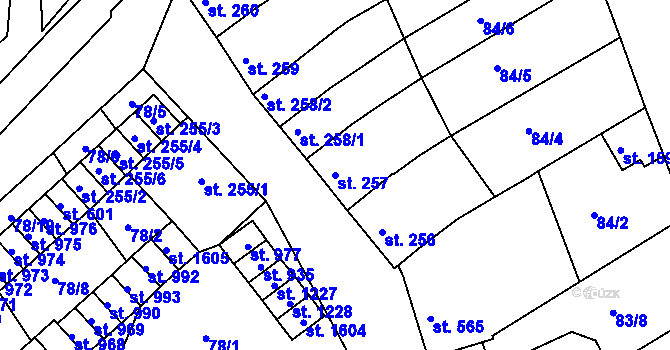 Parcela st. 257 v KÚ Trhové Sviny, Katastrální mapa