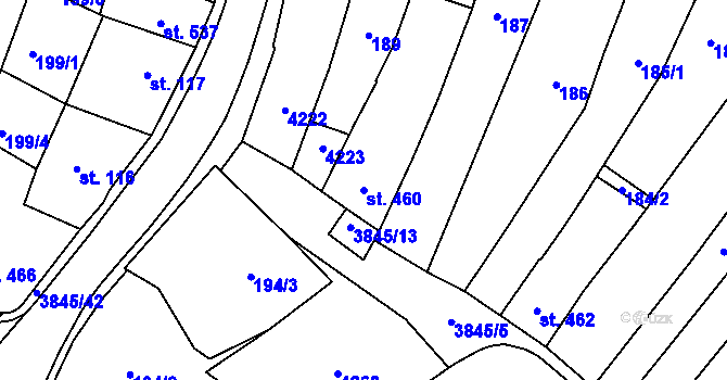 Parcela st. 460 v KÚ Trhové Sviny, Katastrální mapa