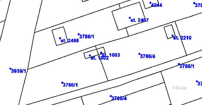 Parcela st. 1003 v KÚ Trhové Sviny, Katastrální mapa