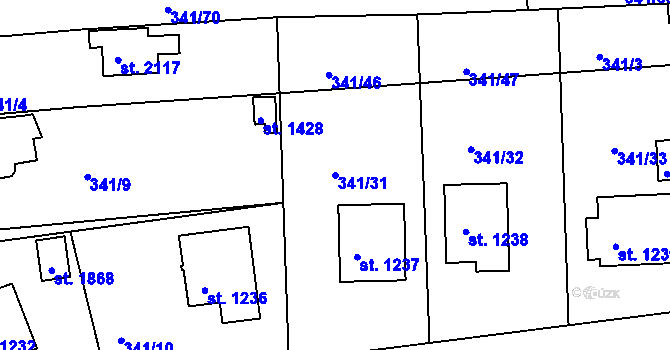 Parcela st. 341/31 v KÚ Trhové Sviny, Katastrální mapa