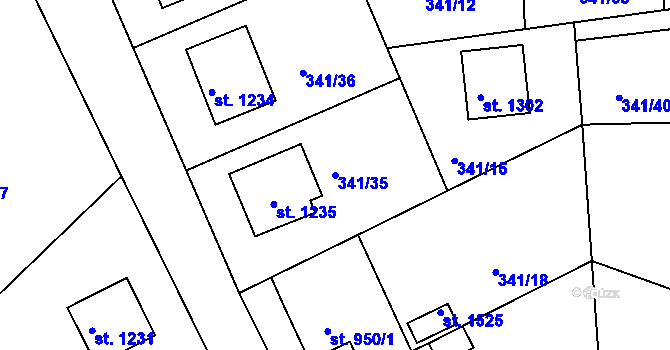Parcela st. 341/35 v KÚ Trhové Sviny, Katastrální mapa