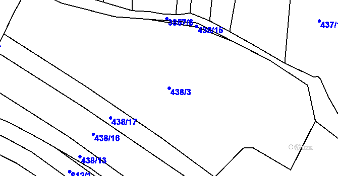 Parcela st. 438/3 v KÚ Trhové Sviny, Katastrální mapa