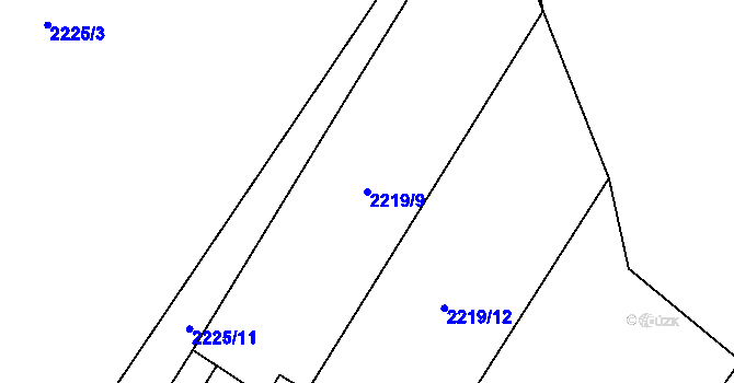 Parcela st. 2219/9 v KÚ Trhové Sviny, Katastrální mapa
