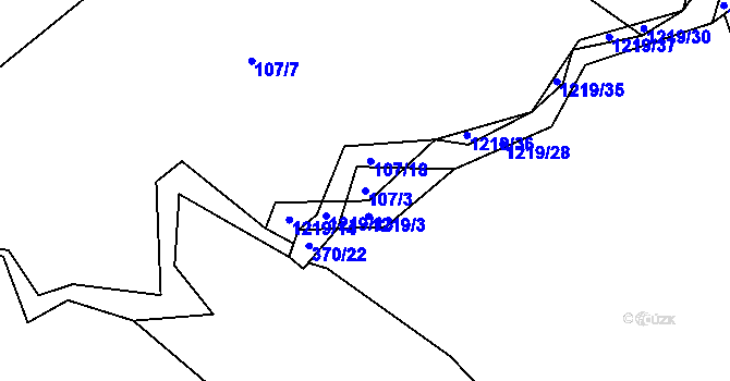 Parcela st. 107/3 v KÚ Bukvice u Trhových Svinů, Katastrální mapa