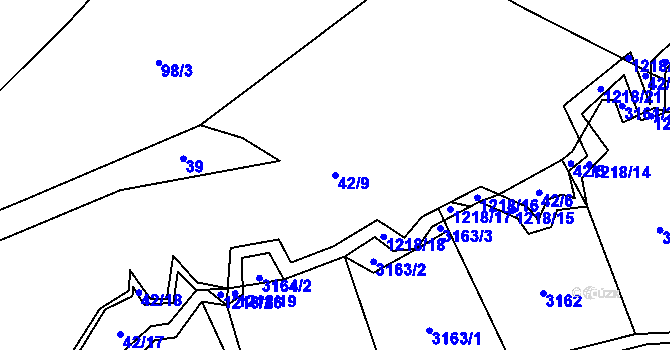 Parcela st. 42/9 v KÚ Bukvice u Trhových Svinů, Katastrální mapa