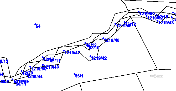Parcela st. 42/10 v KÚ Bukvice u Trhových Svinů, Katastrální mapa