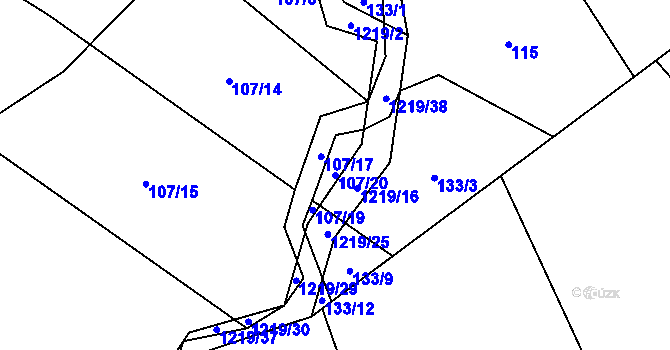 Parcela st. 107/20 v KÚ Bukvice u Trhových Svinů, Katastrální mapa