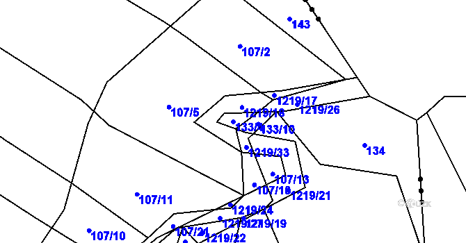 Parcela st. 133/4 v KÚ Bukvice u Trhových Svinů, Katastrální mapa