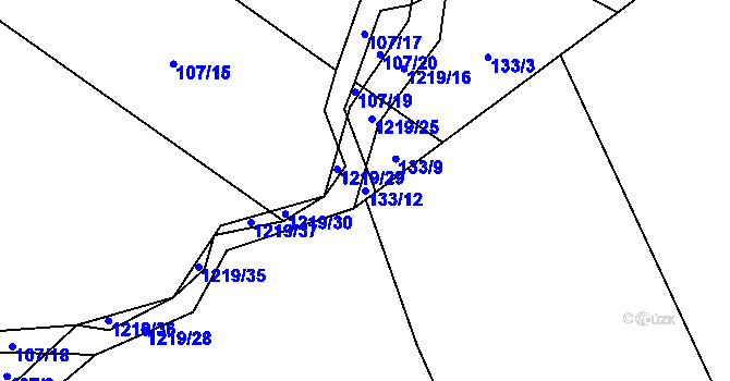 Parcela st. 133/12 v KÚ Bukvice u Trhových Svinů, Katastrální mapa