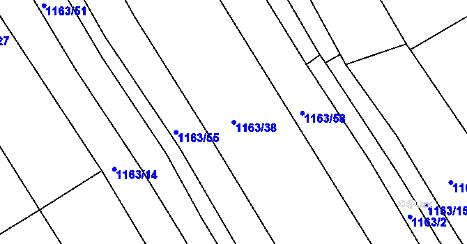 Parcela st. 1163/38 v KÚ Trhový Štěpánov, Katastrální mapa