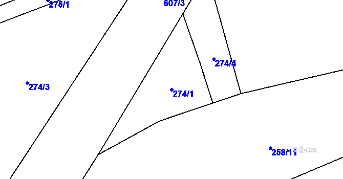 Parcela st. 274/1 v KÚ Trněný Újezd, Katastrální mapa