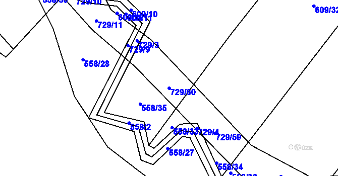 Parcela st. 729/60 v KÚ Trnová u Plzně, Katastrální mapa