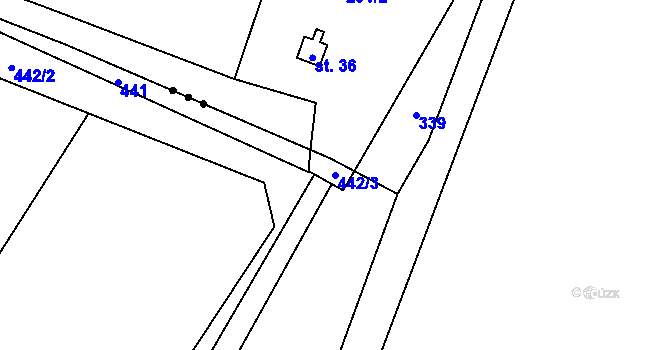 Parcela st. 442/3 v KÚ Trnovany u Litoměřic, Katastrální mapa
