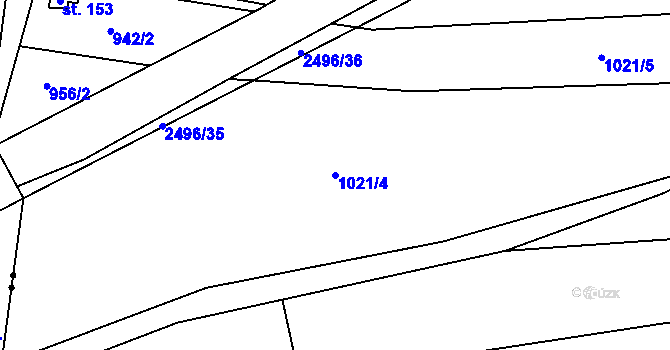 Parcela st. 1021/4 v KÚ Radostice u Trocnova, Katastrální mapa