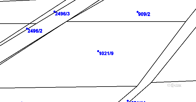 Parcela st. 1021/9 v KÚ Radostice u Trocnova, Katastrální mapa