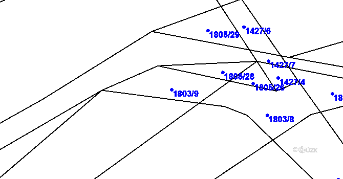 Parcela st. 1803/9 v KÚ Radostice u Trocnova, Katastrální mapa
