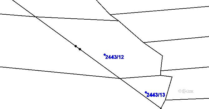 Parcela st. 2443/12 v KÚ Radostice u Trocnova, Katastrální mapa
