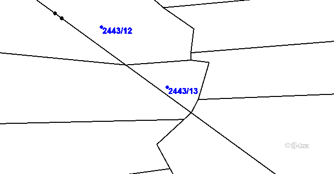 Parcela st. 2443/13 v KÚ Radostice u Trocnova, Katastrální mapa