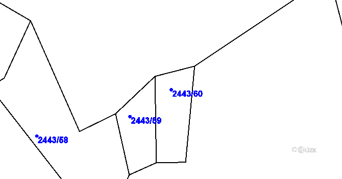 Parcela st. 2443/60 v KÚ Radostice u Trocnova, Katastrální mapa