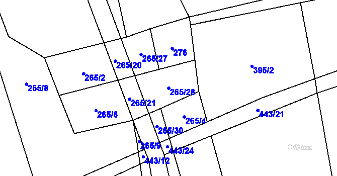 Parcela st. 265/28 v KÚ Řemešín, Katastrální mapa