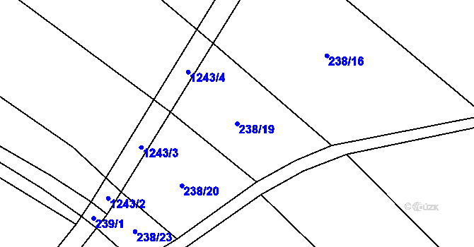 Parcela st. 238/19 v KÚ Lazce u Troubelic, Katastrální mapa