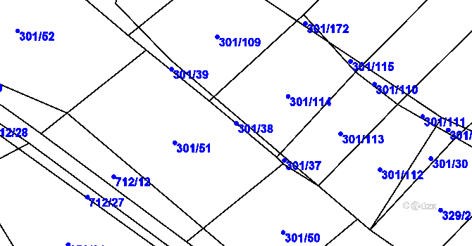 Parcela st. 301/38 v KÚ Zdislavice, Katastrální mapa