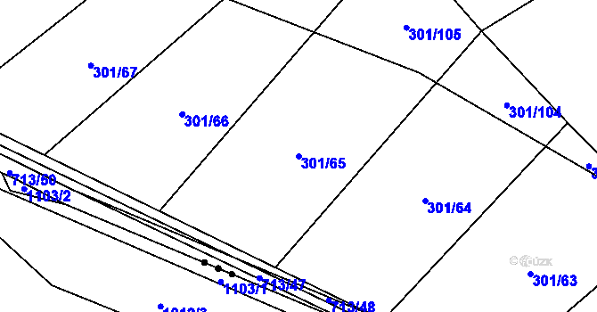 Parcela st. 301/65 v KÚ Zdislavice, Katastrální mapa