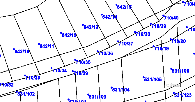 Parcela st. 710/36 v KÚ Zdislavice, Katastrální mapa