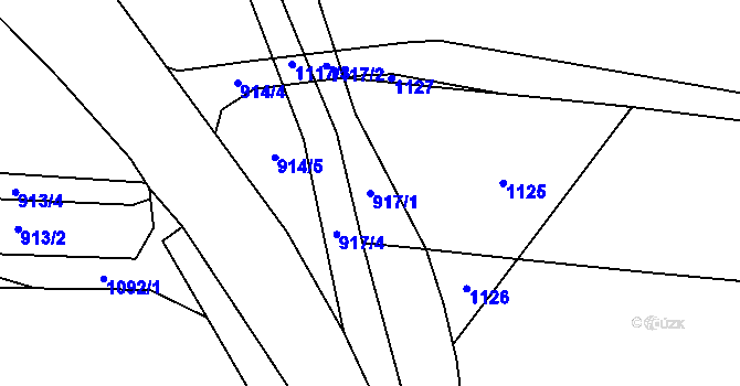 Parcela st. 917/1 v KÚ Sviňomazy, Katastrální mapa