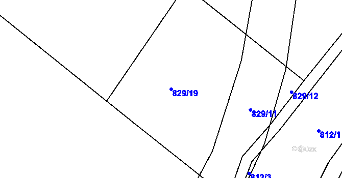 Parcela st. 829/19 v KÚ Tršice, Katastrální mapa