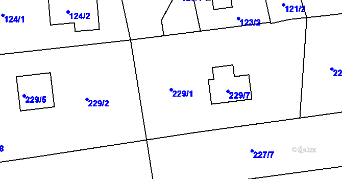 Parcela st. 229/1 v KÚ Trubín, Katastrální mapa
