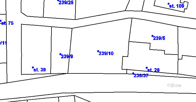 Parcela st. 239/10 v KÚ Trubská, Katastrální mapa