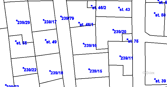 Parcela st. 239/16 v KÚ Trubská, Katastrální mapa