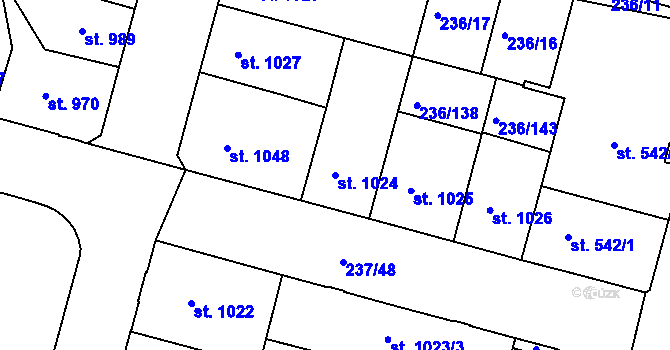 Parcela st. 1024 v KÚ Trutnov, Katastrální mapa