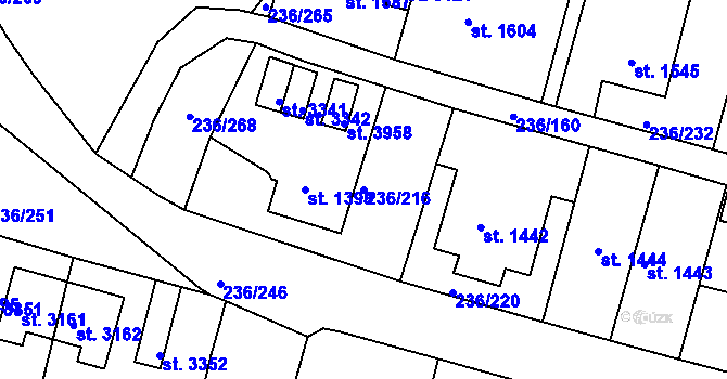 Parcela st. 236/216 v KÚ Trutnov, Katastrální mapa