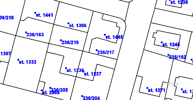Parcela st. 236/217 v KÚ Trutnov, Katastrální mapa