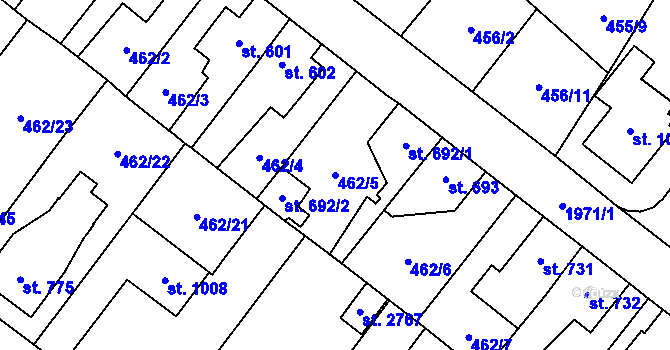 Parcela st. 462/5 v KÚ Třebechovice pod Orebem, Katastrální mapa