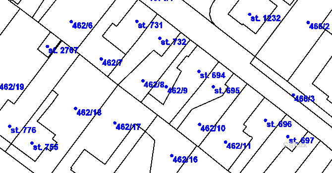 Parcela st. 462/9 v KÚ Třebechovice pod Orebem, Katastrální mapa