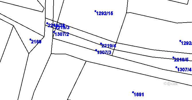 Parcela st. 1307/3 v KÚ Třebějice, Katastrální mapa